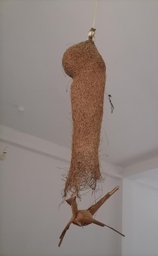 Apartmán Hiriketiya Hasmal House Dikwella Exteriér fotografie